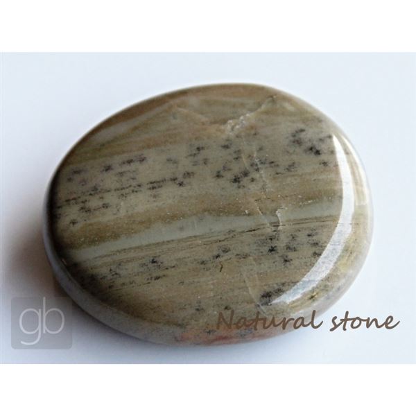 Jaspis st��brn� - Placka (41x37,4x10,9 mm)    