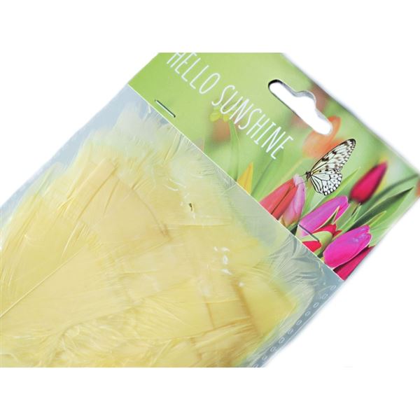 Pe�� dekora�n� �lut� (48 ks/10 cm)